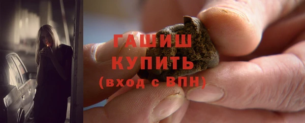дживик Няндома
