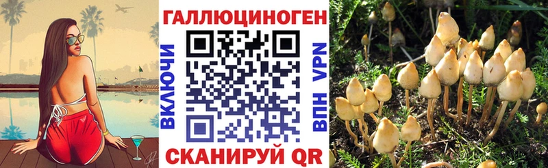 Псилоцибиновые грибы мицелий  Щигры 